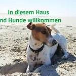 Regenbogen