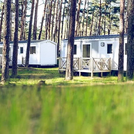 Regenbogen