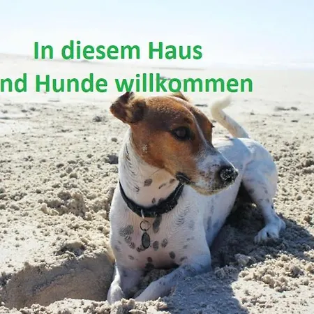 Regenbogen